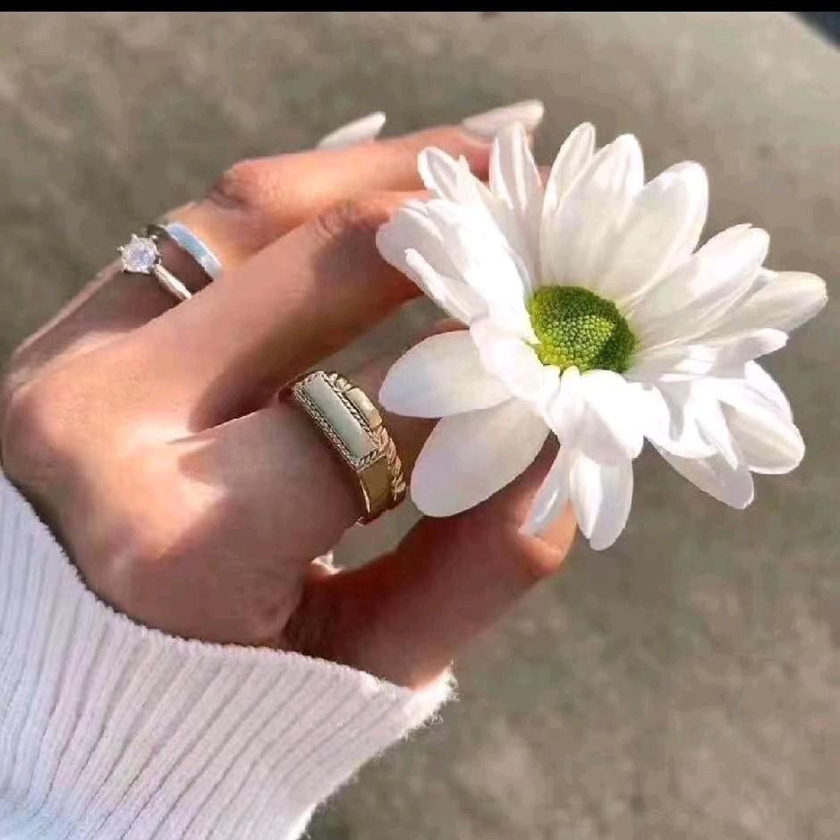 🦋ღ____ོ࿆ D🦋
