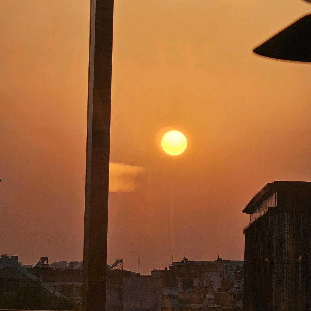 大马