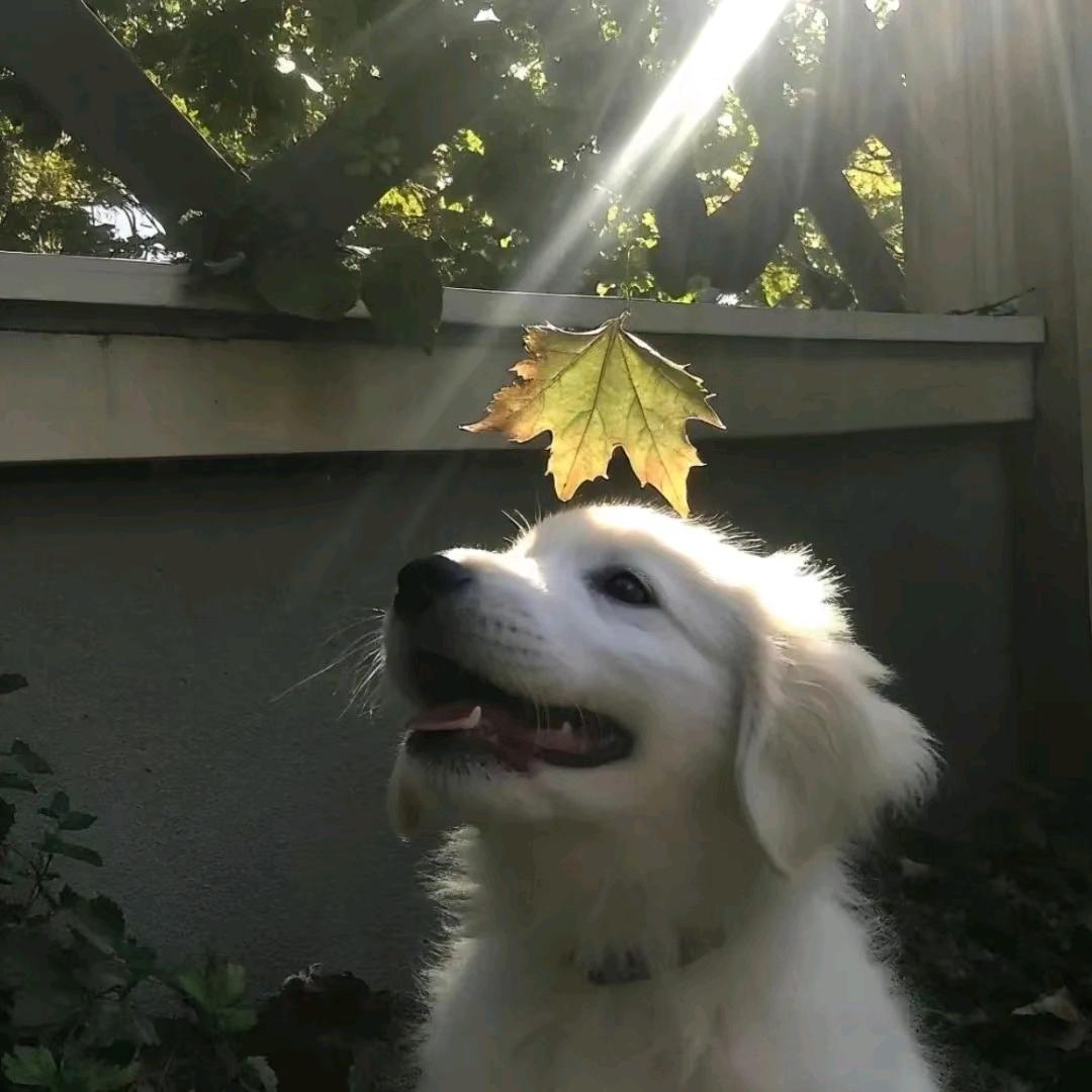 天硕想睡觉