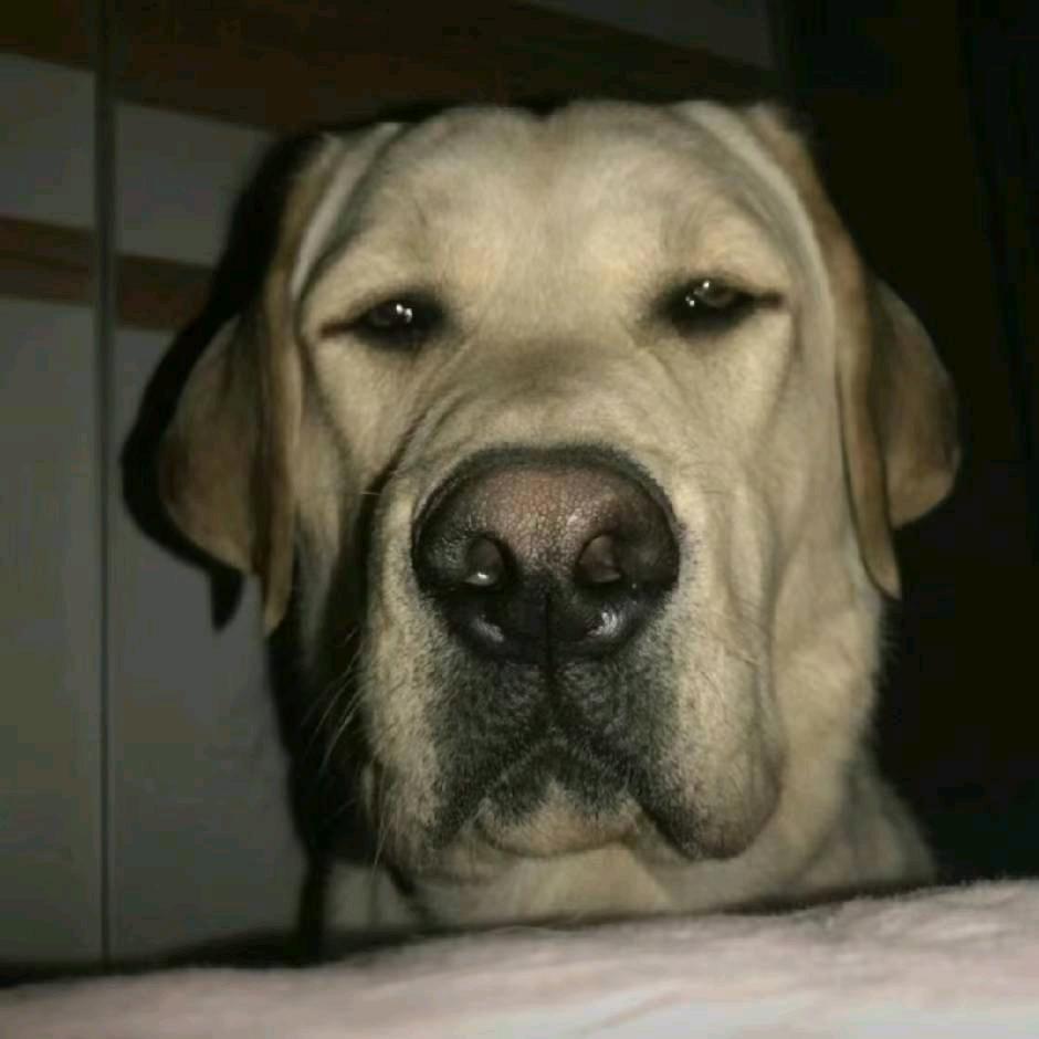G-0