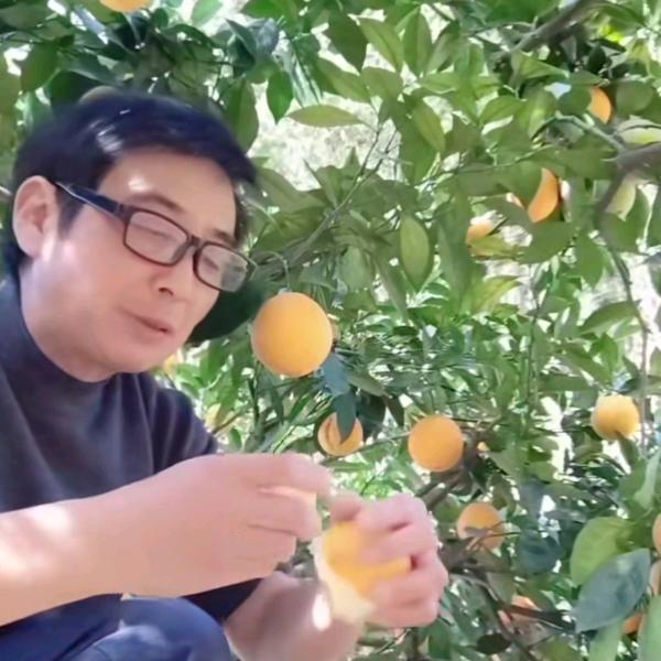 橙心农园