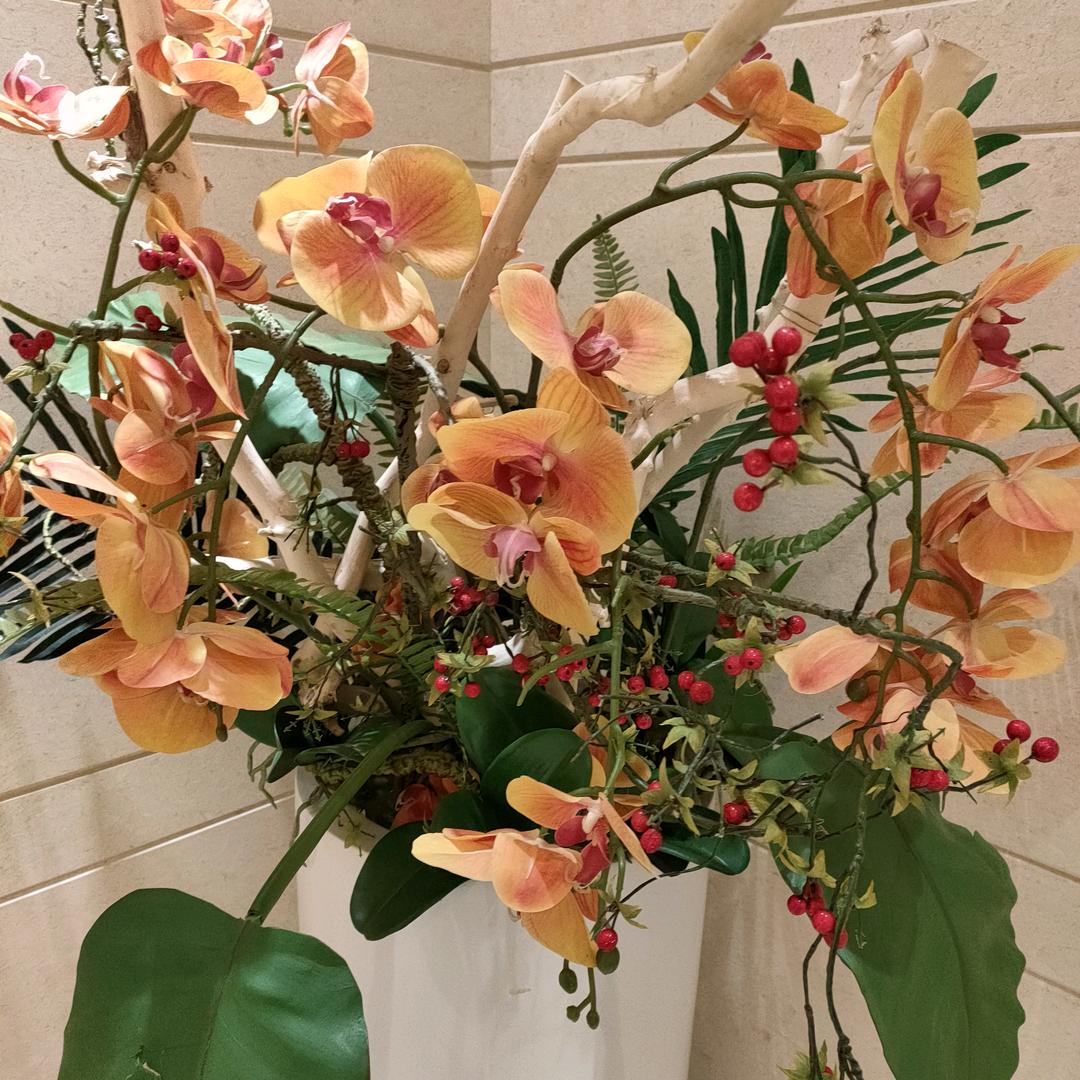 淡然一笑♥(｡￫v￩｡)♥