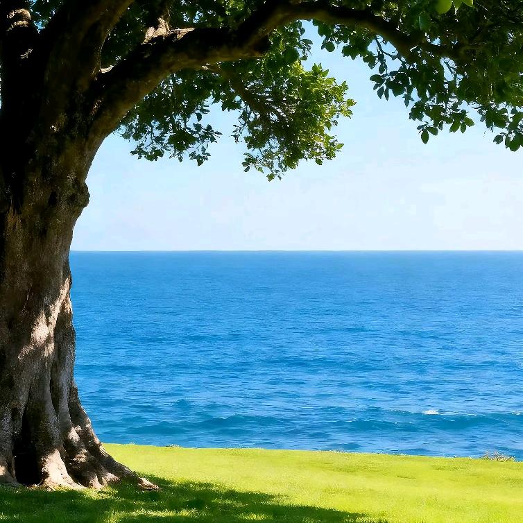 财神爷是我爷😏