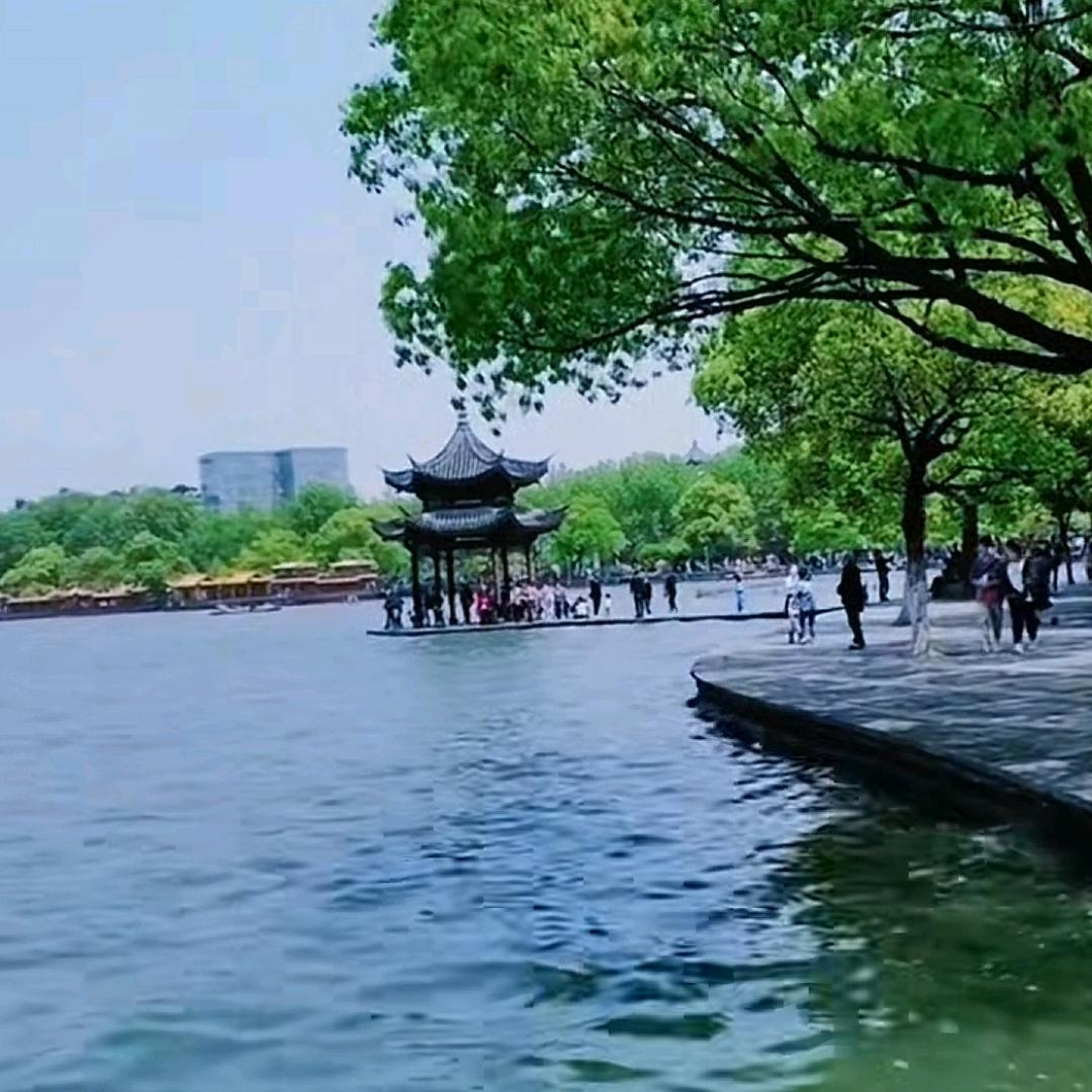 糟老头