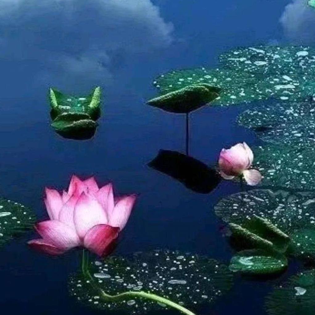 春风十里～不如有你