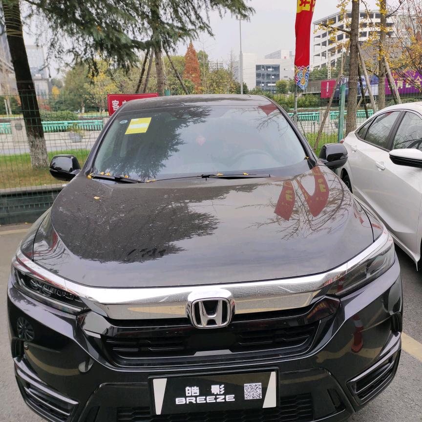 落地的枯叶
