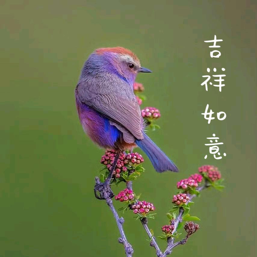 🌈胡萝卜🍀