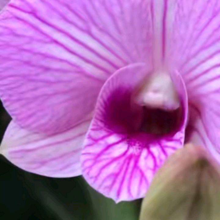 用户66978501020423òᆺ❤Y