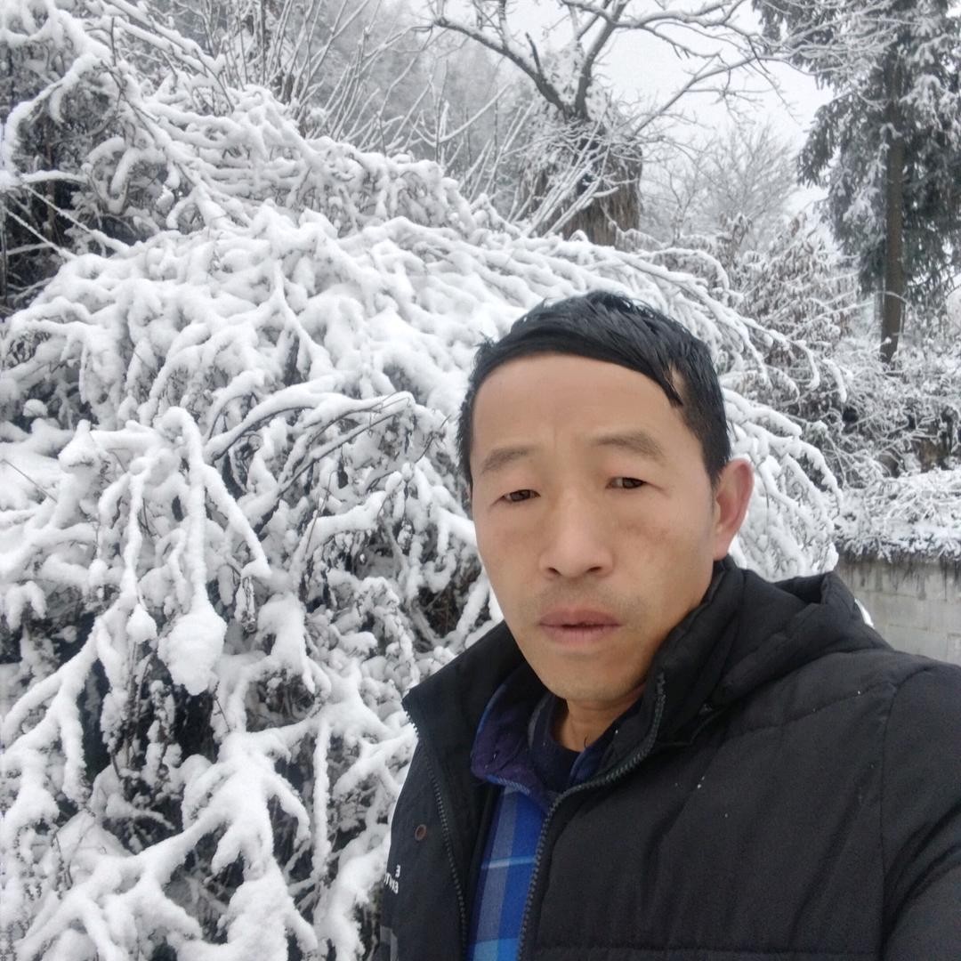 善恶到头终有报