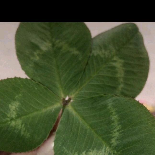 一天比一天开心😁