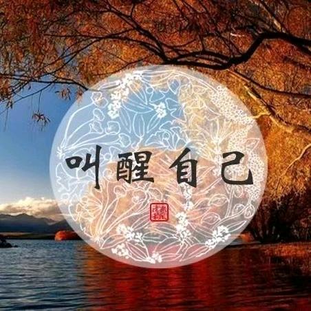 不爱吃晚饭