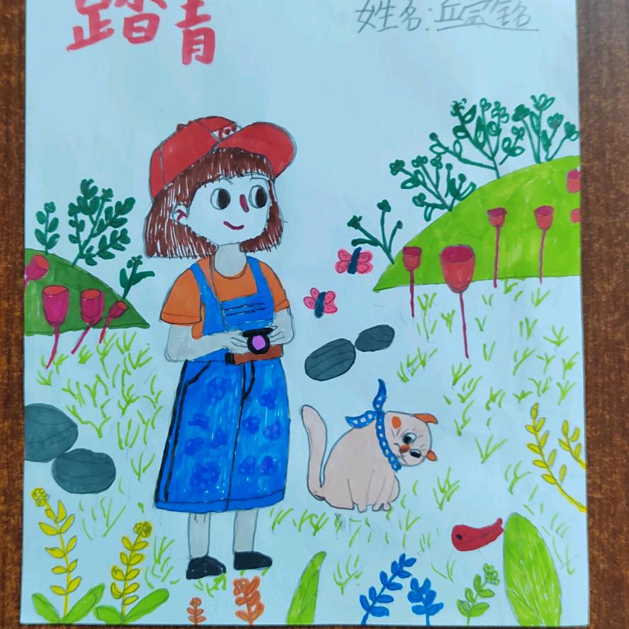 qq008228