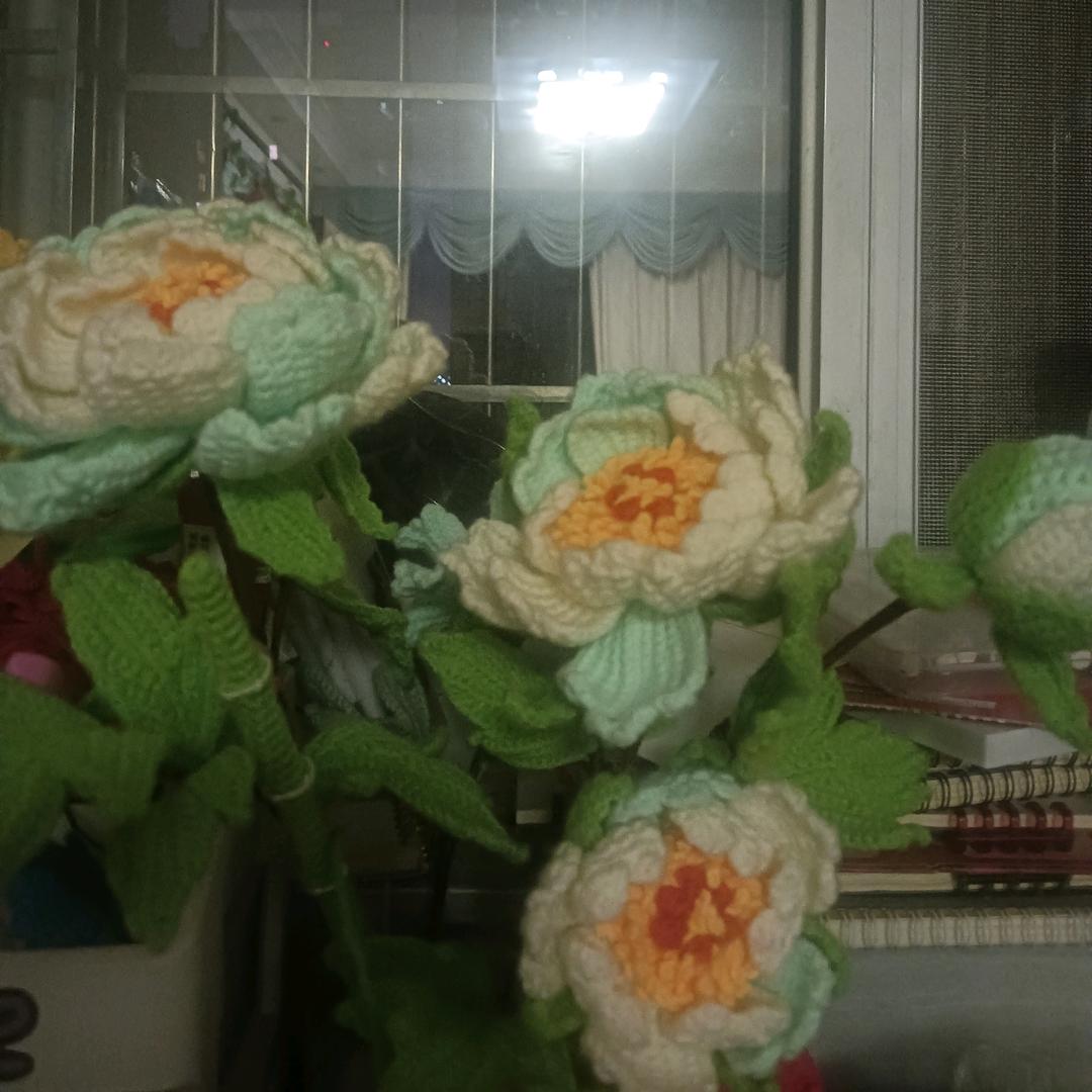 菠萝