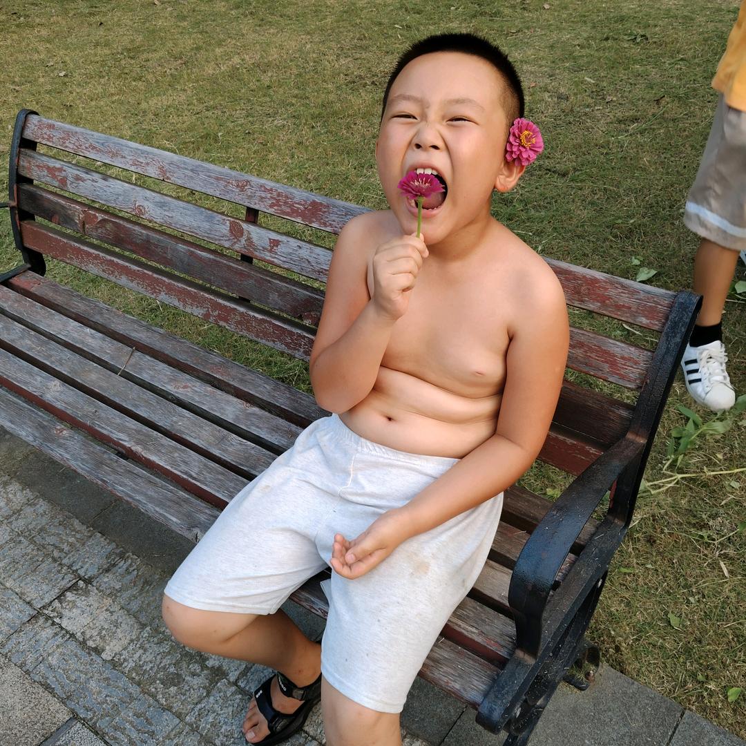 钟情鸟