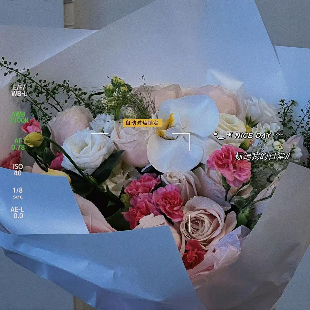 是娜娜吖