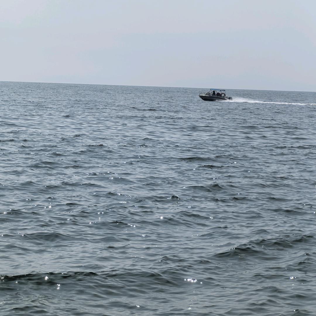 海哥