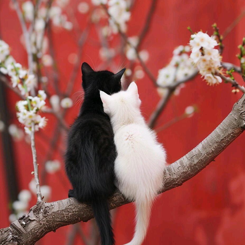 小焰味同学