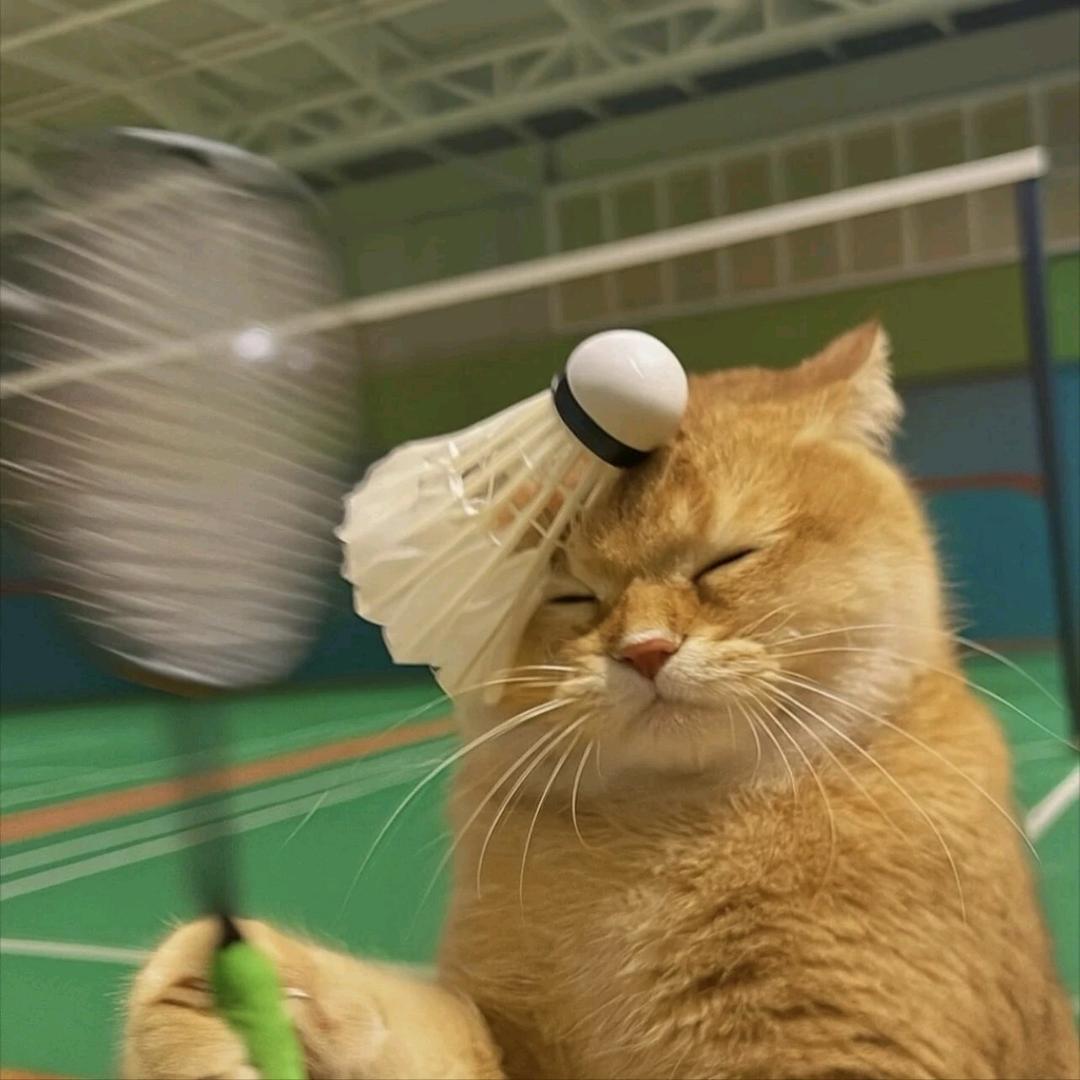 名字长了总有人会念完的