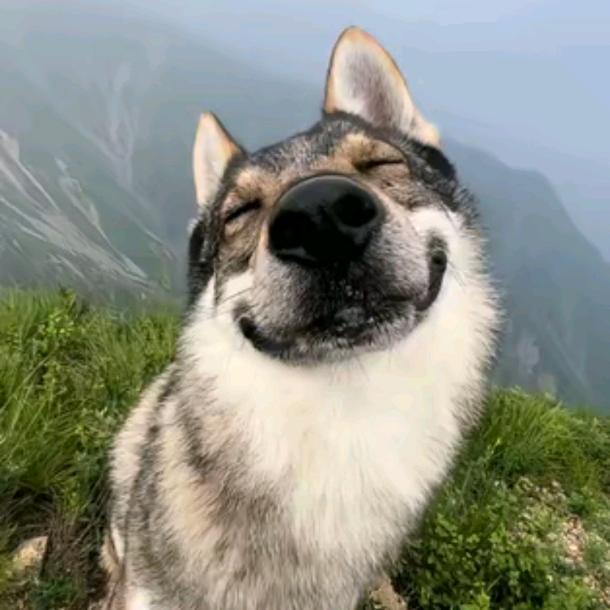 满穗/穗