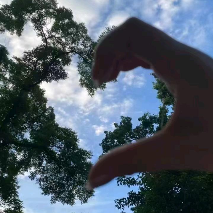 Lෆiiೄ೨卡皮巴拉