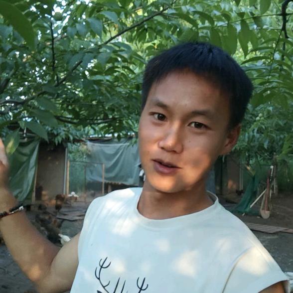 毛顺顺（顺顺在奋斗）