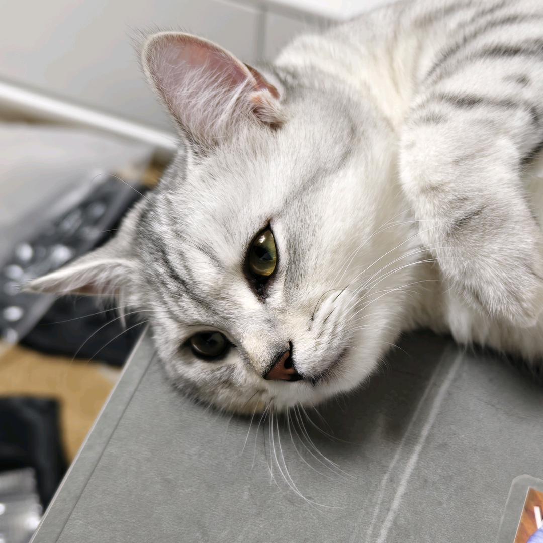 🌈 rainbow（减脂版）