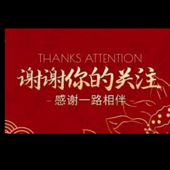 崽崽浩
