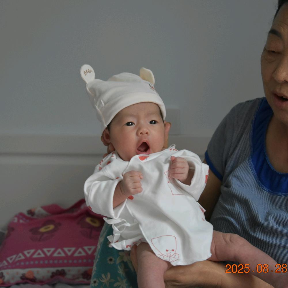 炊事班的故事✔