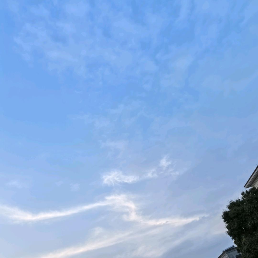 晚风吹