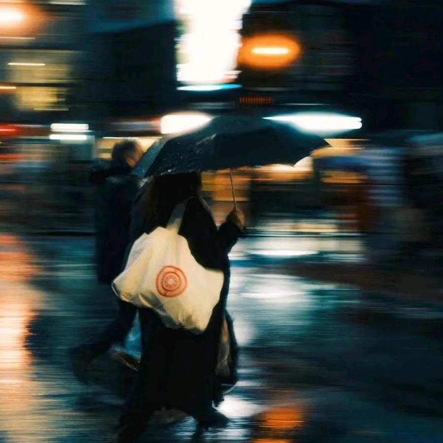 毛竹