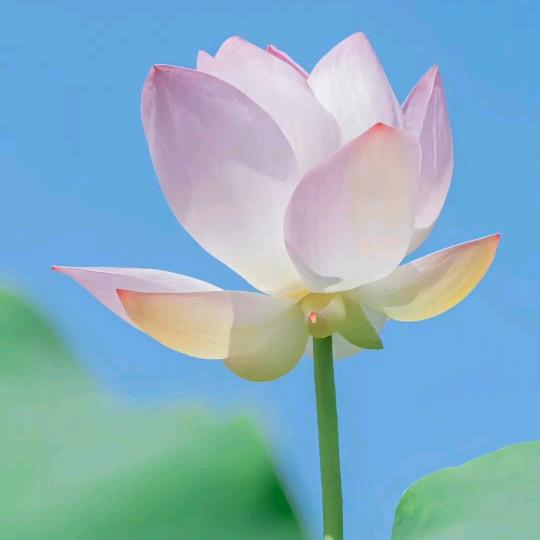 青山说