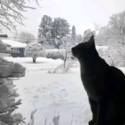 再世逢春千百回