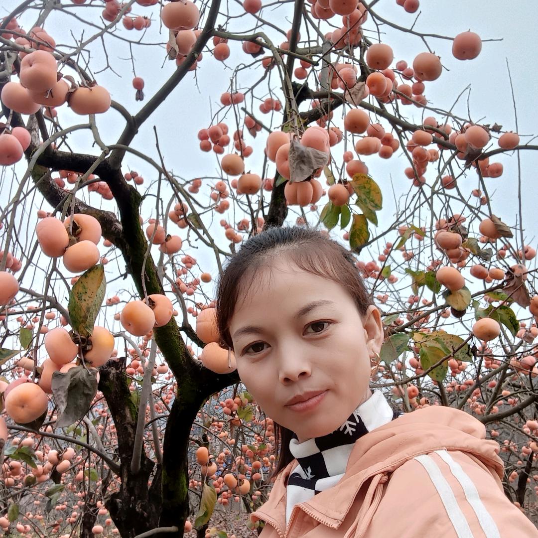 梦“&”想