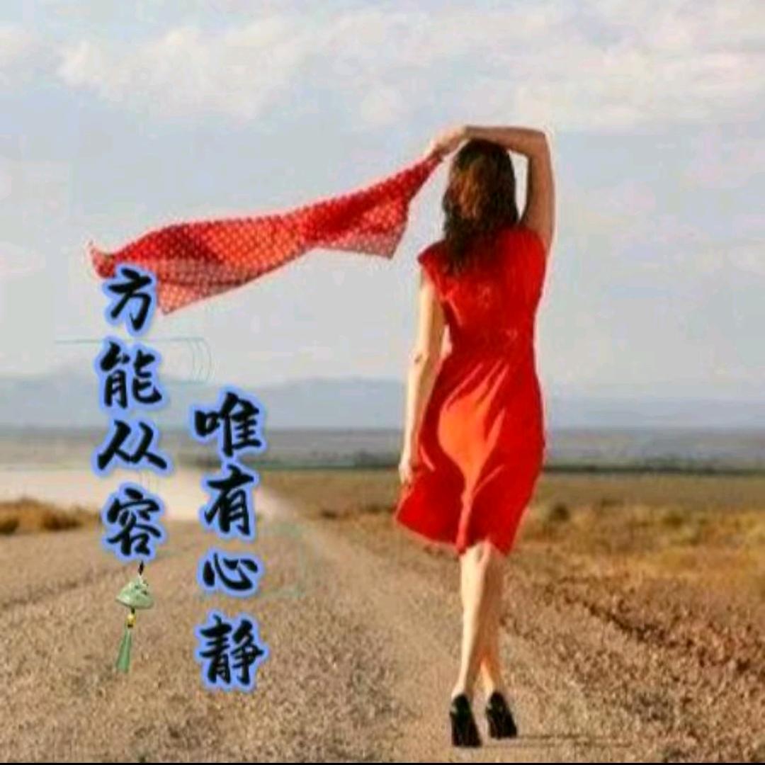 安静从容