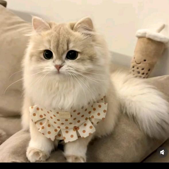 李幼仪