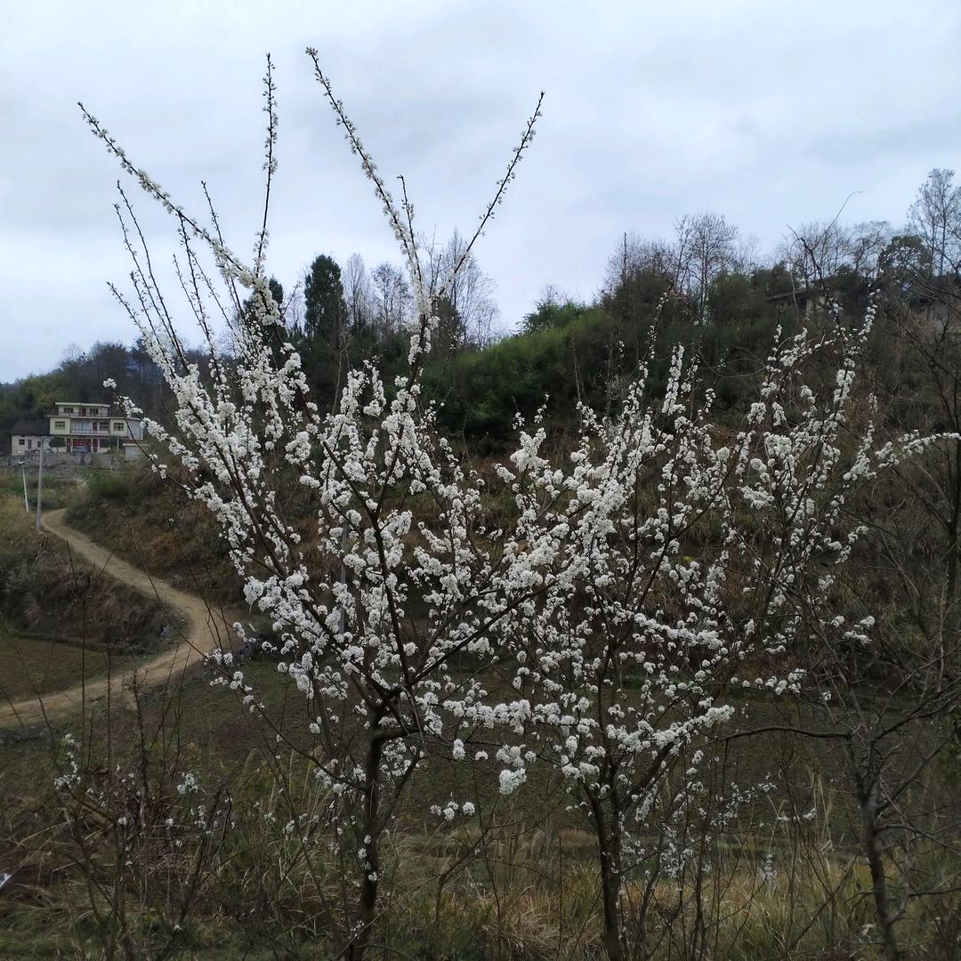 航空万里