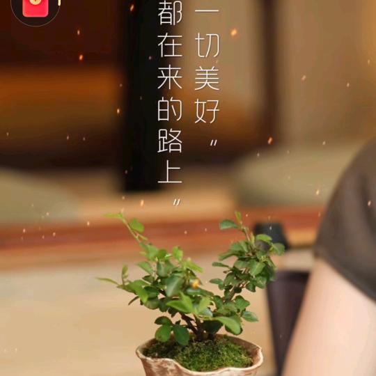 小红豆
