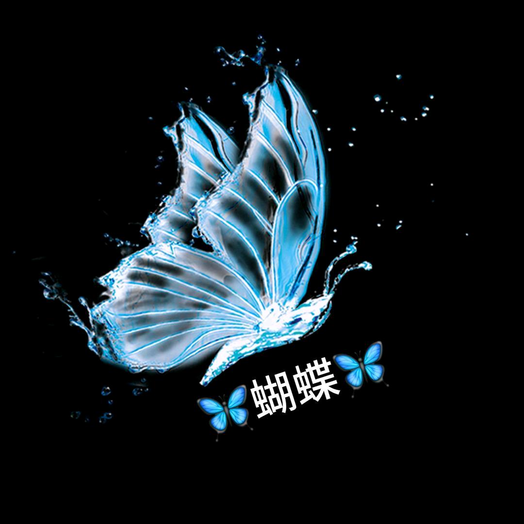 🦋蝴蝶🦋｜限流版