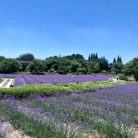 🎵雨露🍁搬货工