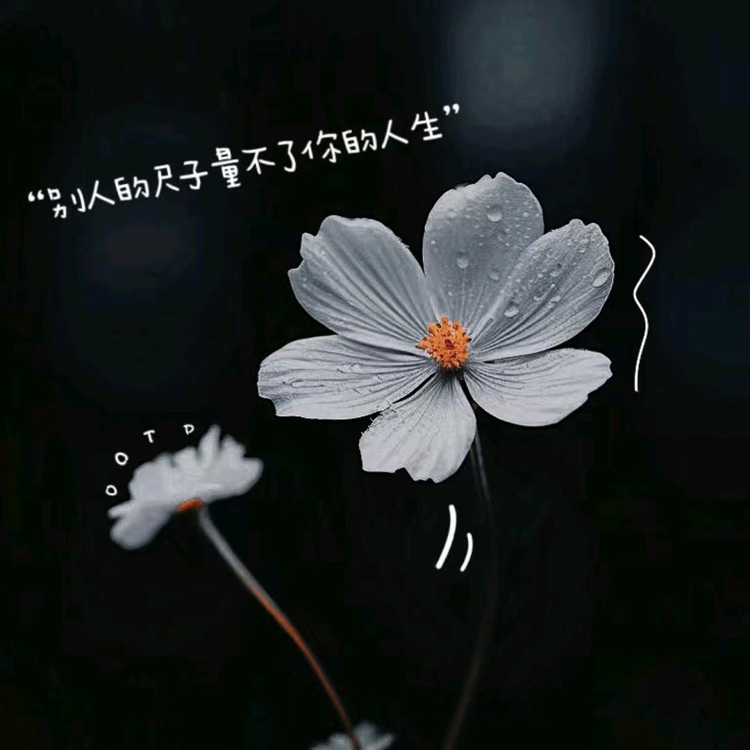 阿蕾