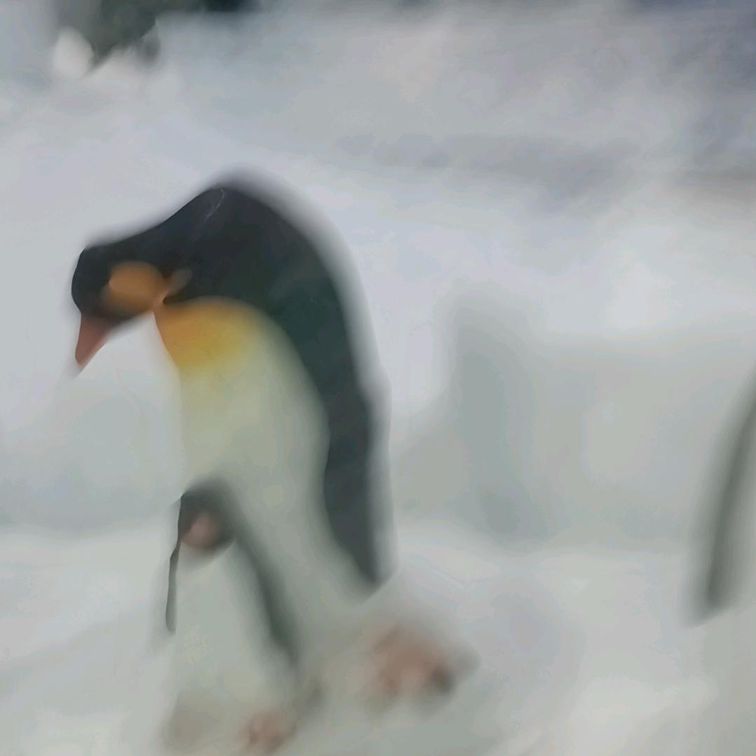 弟媳妇刚吃饭