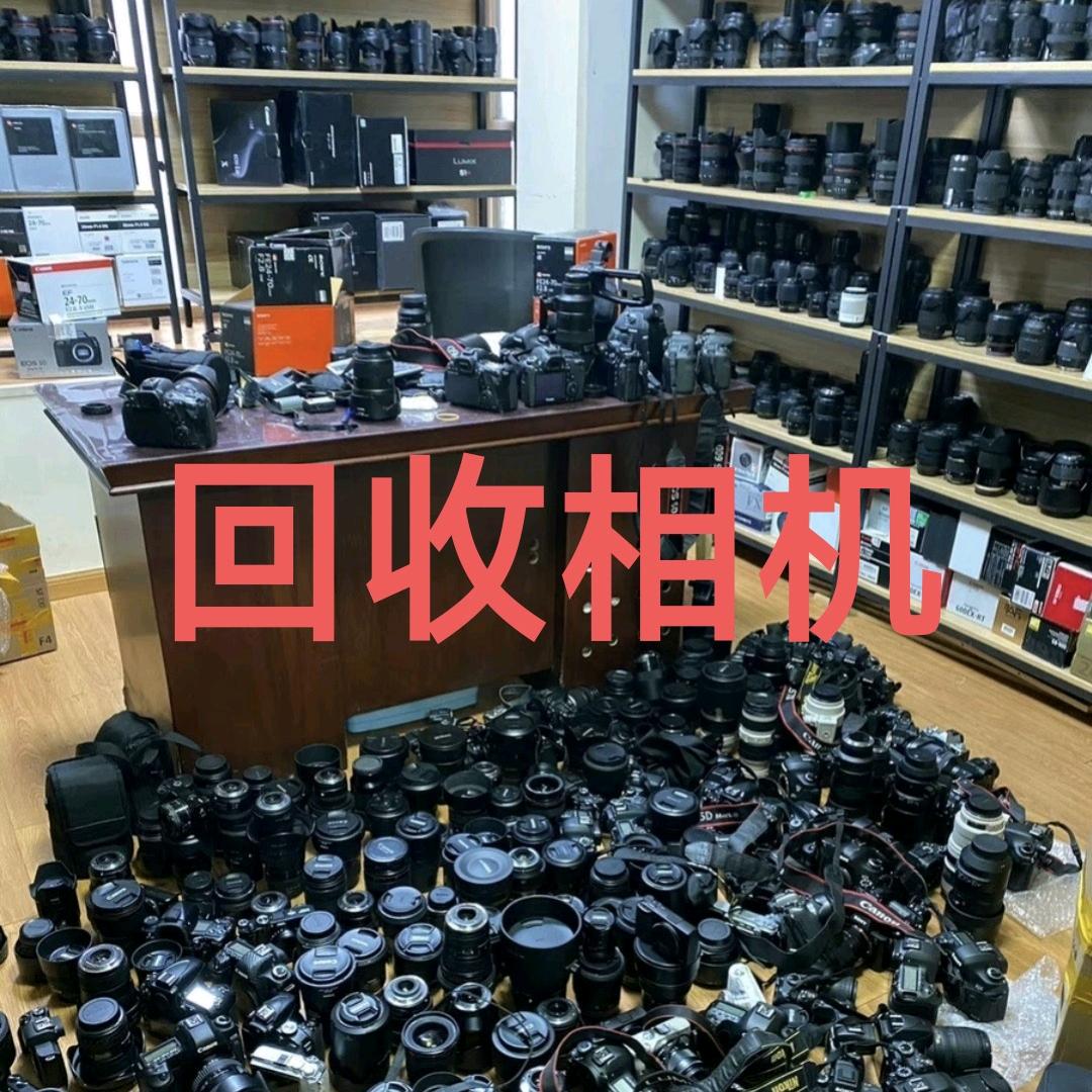 国内数码相机