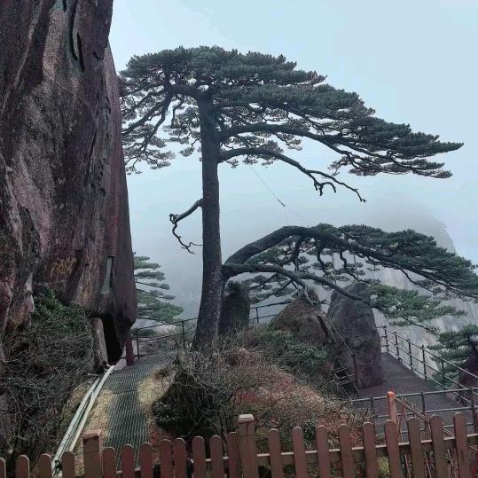 山城