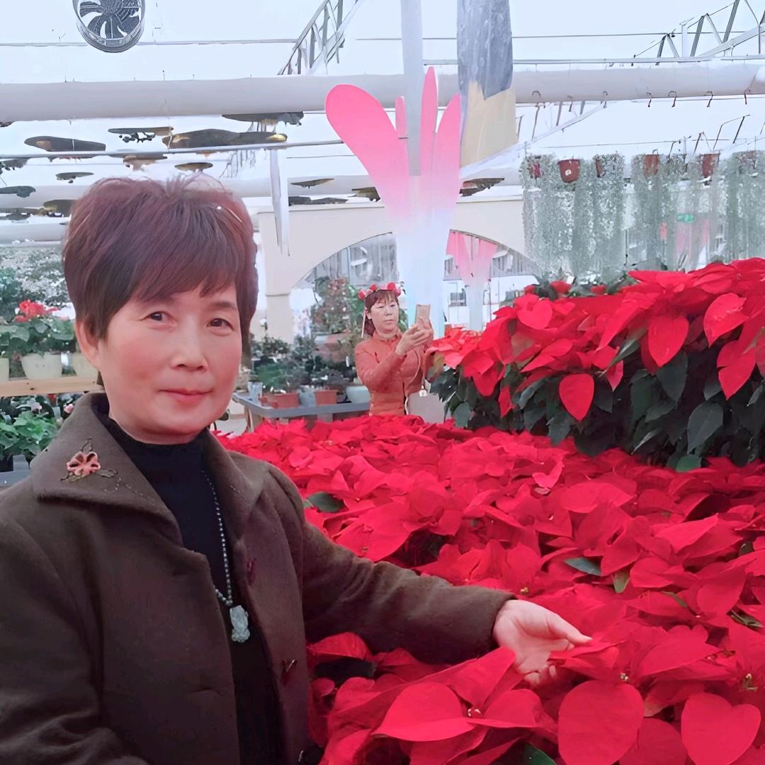 王家三姐