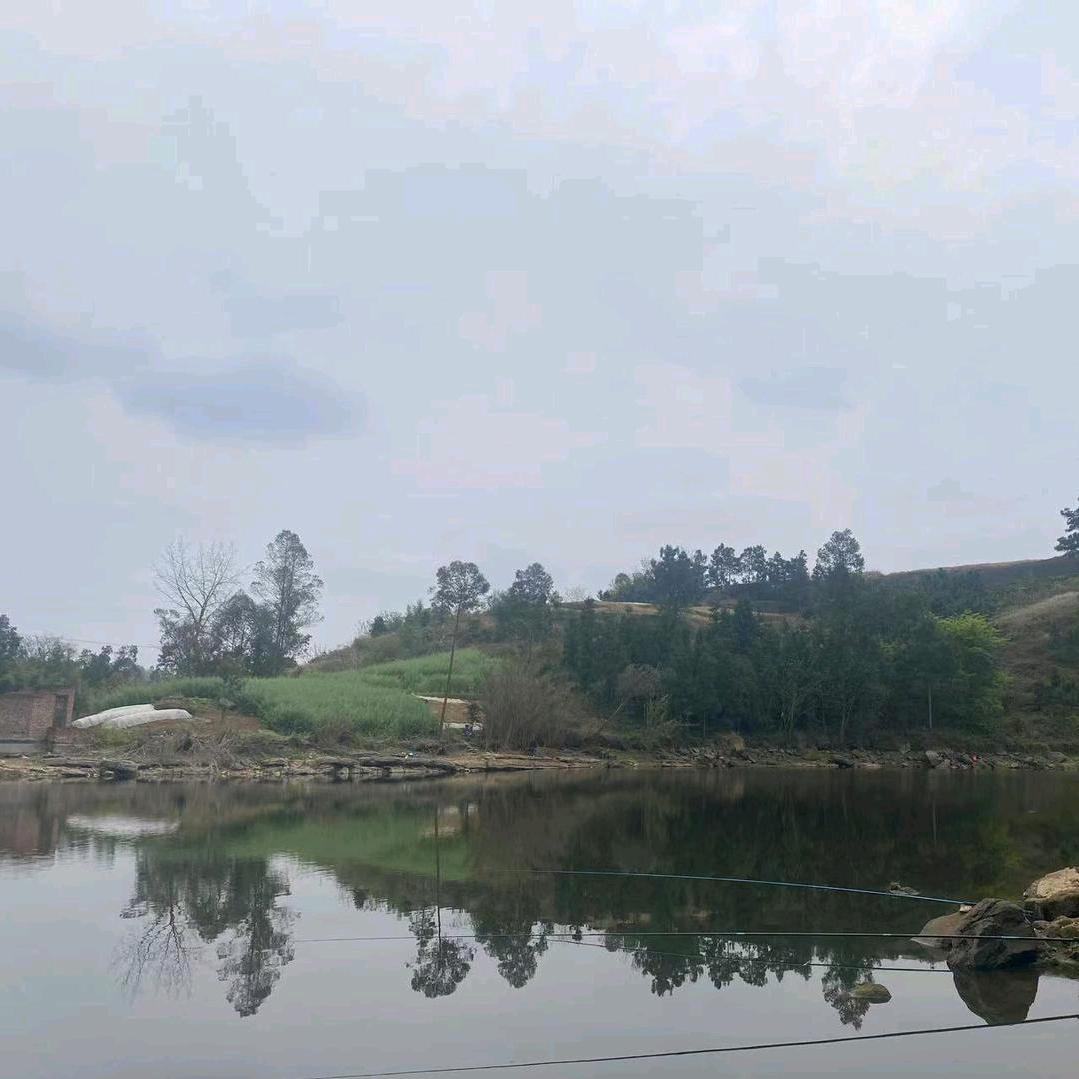 美丽的相遇