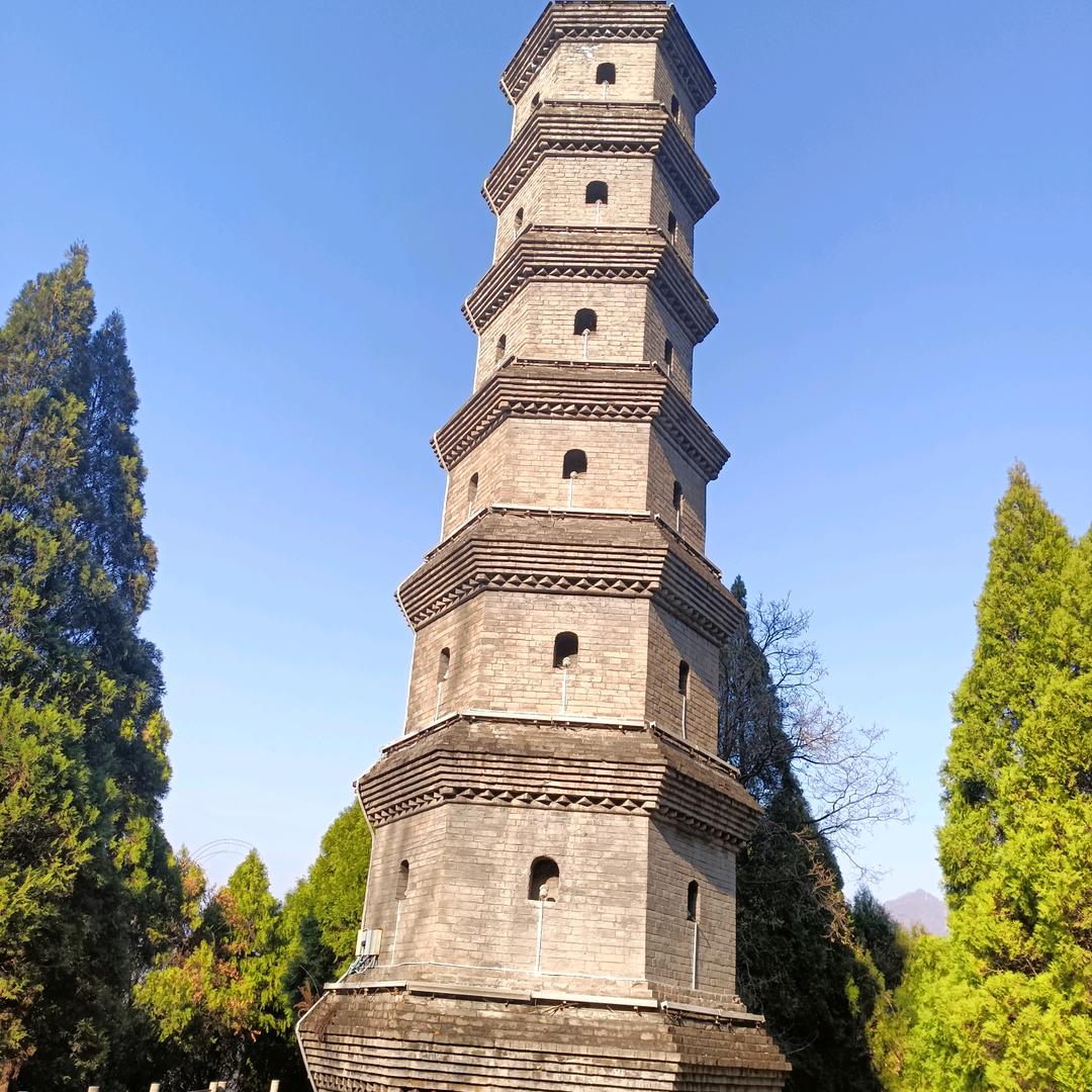 一天比一天好头像