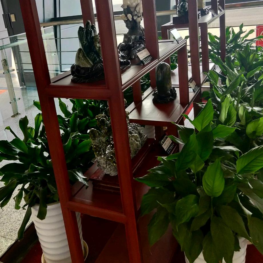 抖音已成为过去