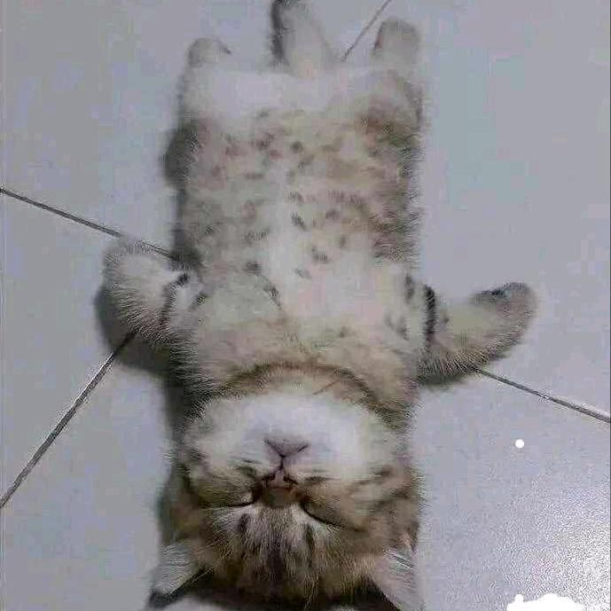 累了就休息头像