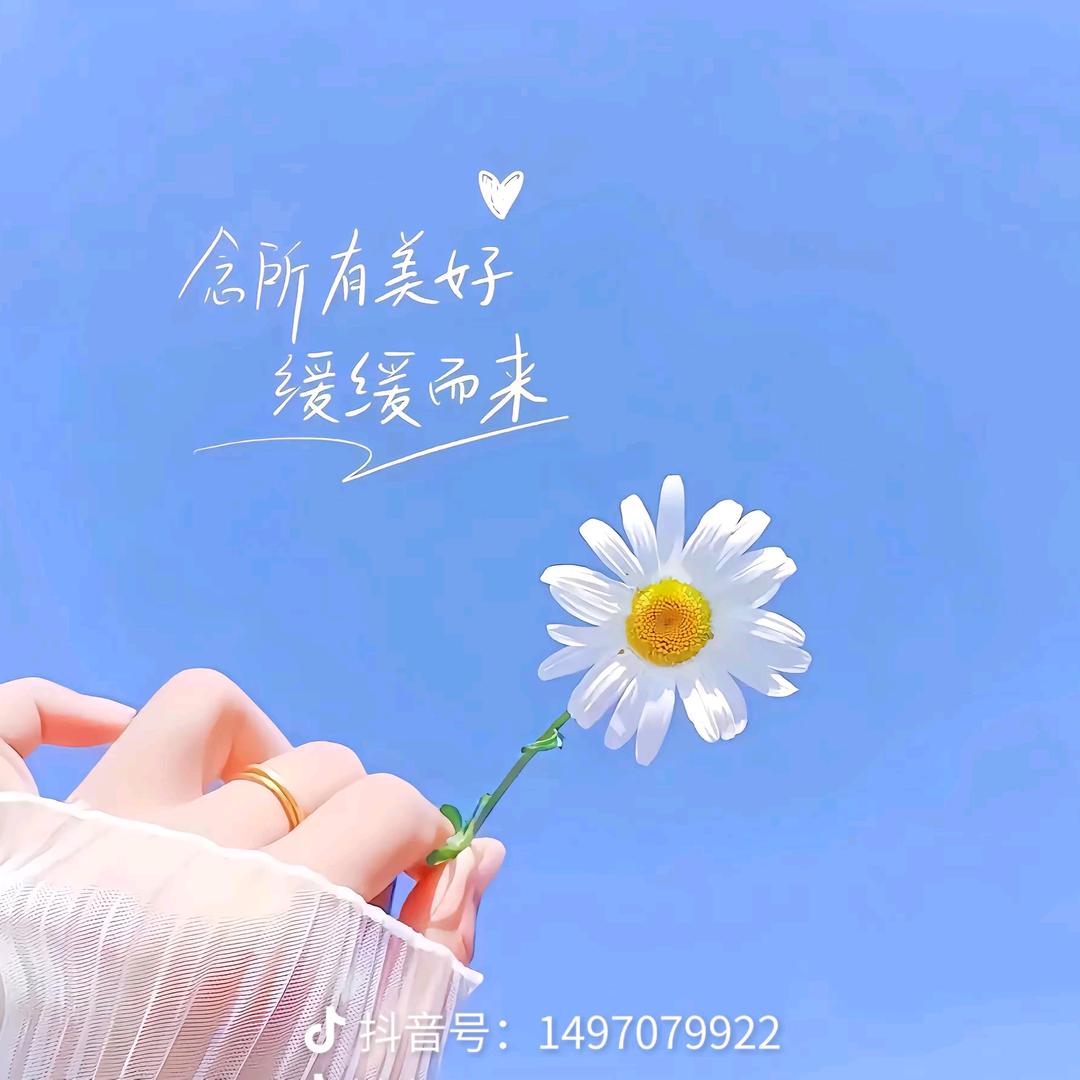 随心