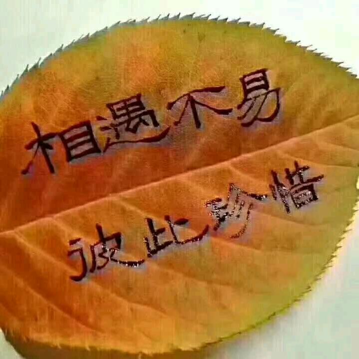 4米2冷藏